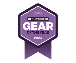 Mountain bike of the year