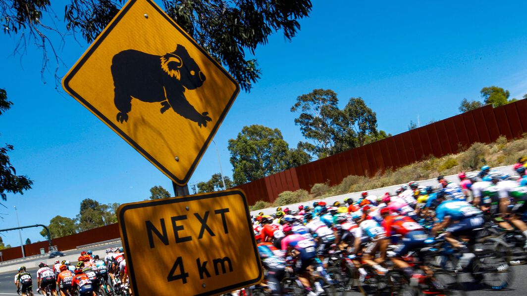 Best cycling holidays Best cycling holidays