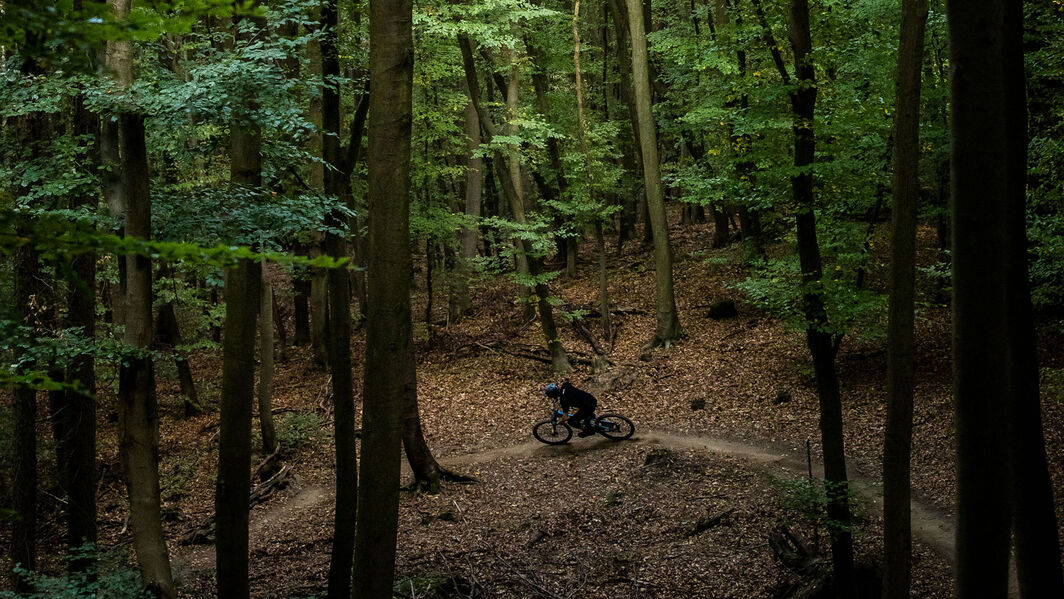 Spectral vs Strive vs Torque / Photo: Canyon.com Spectral vs Strive vs Torque / Photo: Canyon.com