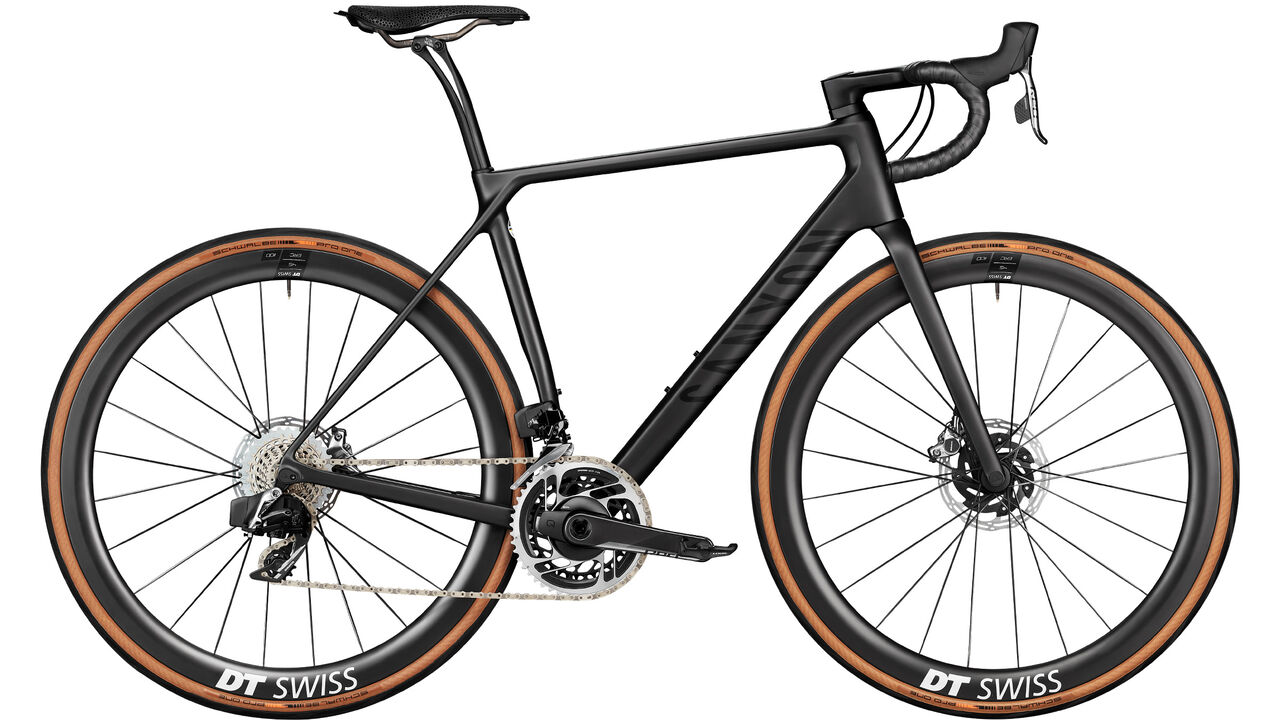 Endurance bike