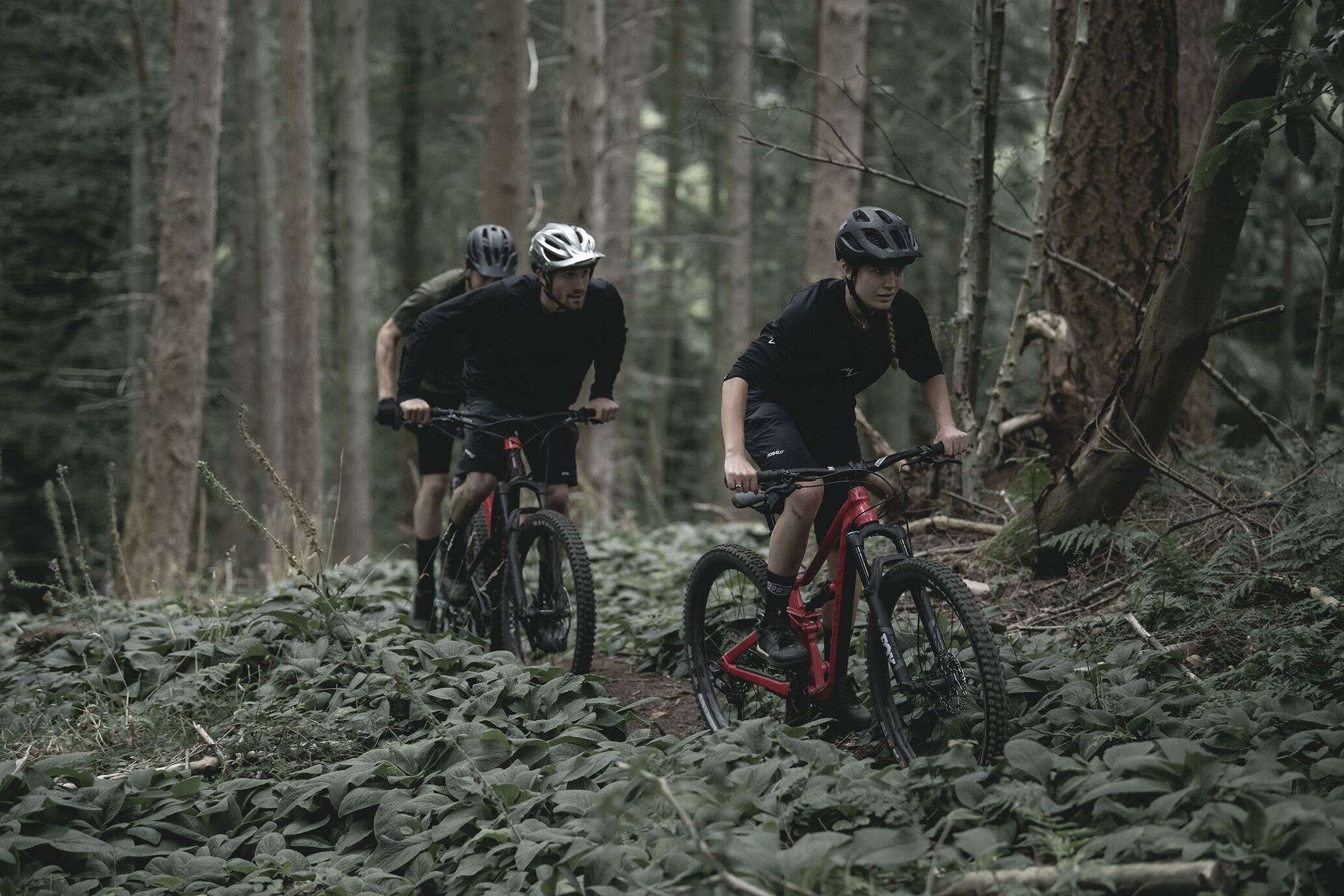 Trail Mountain Bike Buyer&rsquo;s Guide
