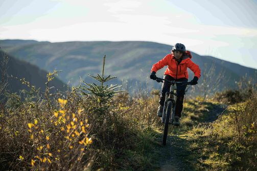 Bikepacking on a budget: how to create a simple, smart setup