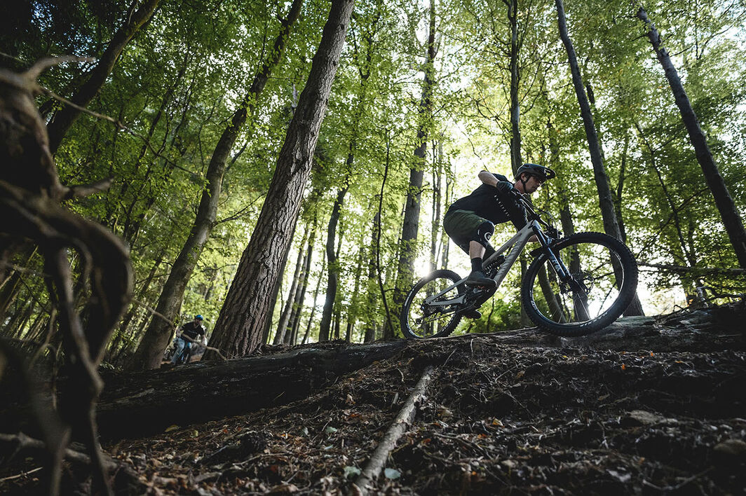 Mullet Bike: Pros and Cons Mullet Bike: Pros and Cons