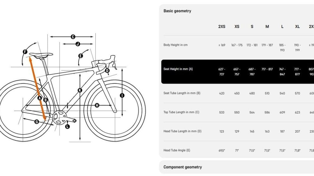 Canyon gravel bike geometry chart