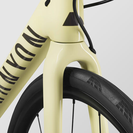 Endurace CF SL 7 AXS Endurace CF SL 7 AXS