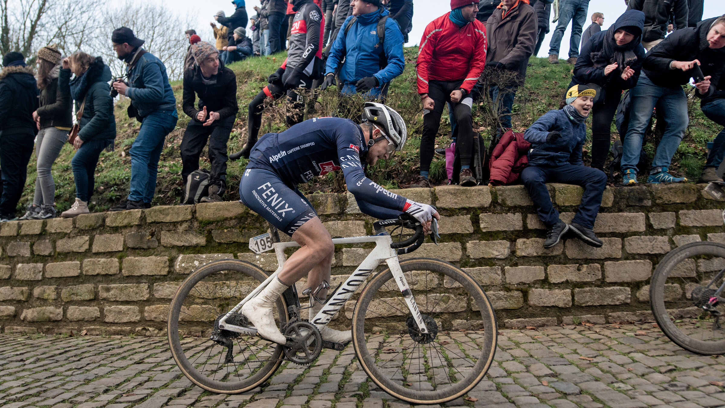 Kalas Alpecin-Fenix Elite Bibshorts